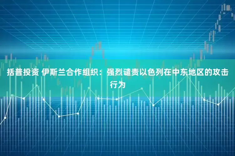 括普投资 伊斯兰合作组织：强烈谴责以色列在中东地区的攻击行为