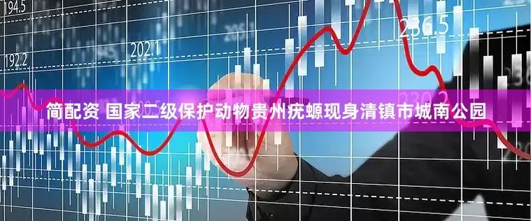 简配资 国家二级保护动物贵州疣螈现身清镇市城南公园