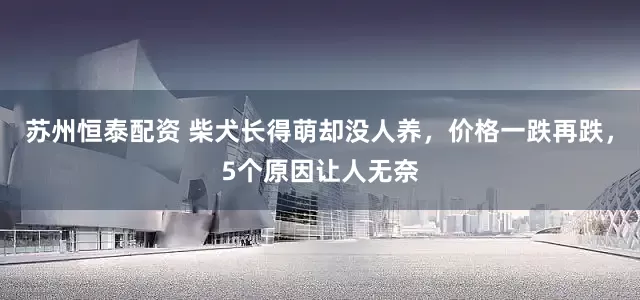 苏州恒泰配资 柴犬长得萌却没人养，价格一跌再跌，5个原因让人无奈