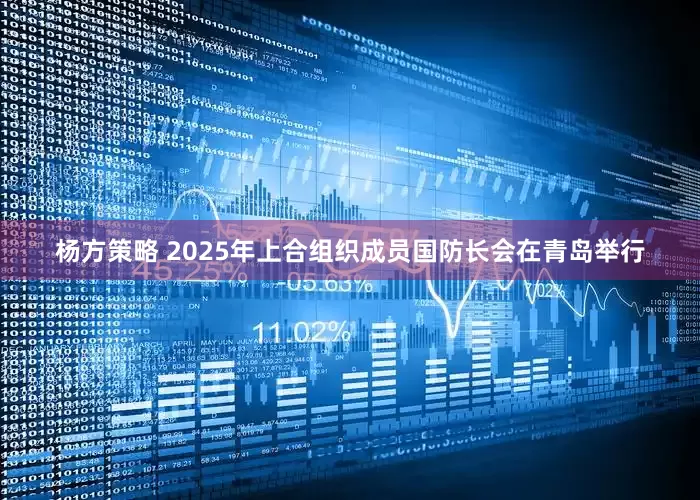 杨方策略 2025年上合组织成员国防长会在青岛举行