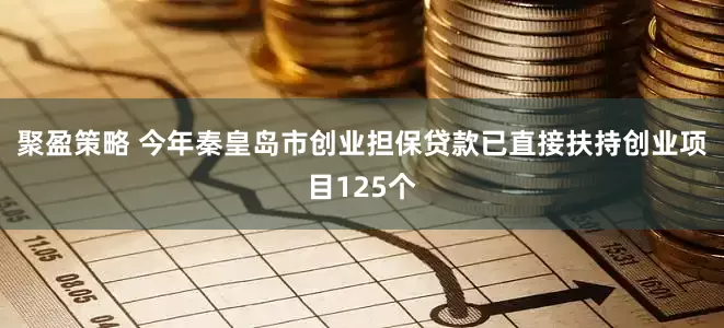 聚盈策略 今年秦皇岛市创业担保贷款已直接扶持创业项目125个