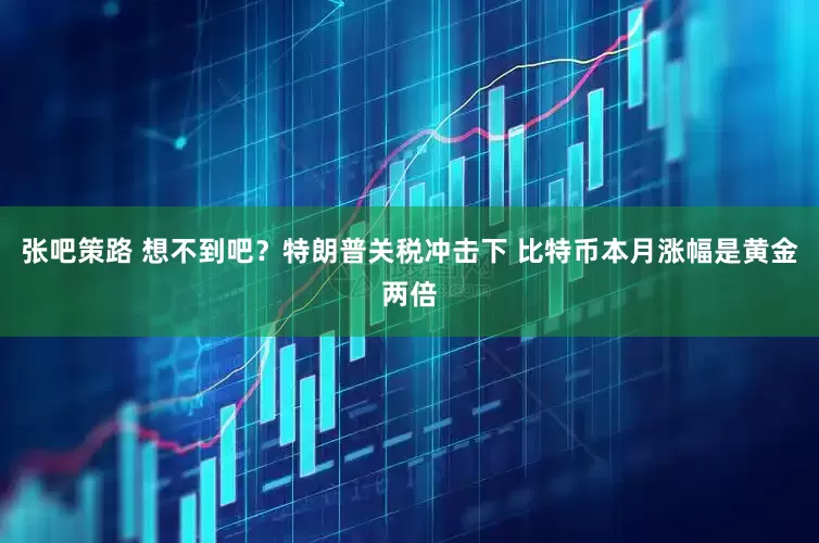 张吧策路 想不到吧？特朗普关税冲击下 比特币本月涨幅是黄金两倍