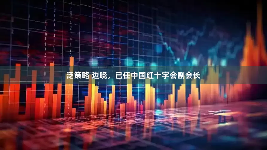 泛策略 边晓，已任中国红十字会副会长