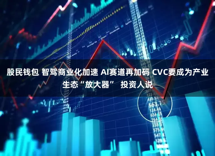 股民钱包 智驾商业化加速 AI赛道再加码 CVC要成为产业生态“放大器”  投资人说